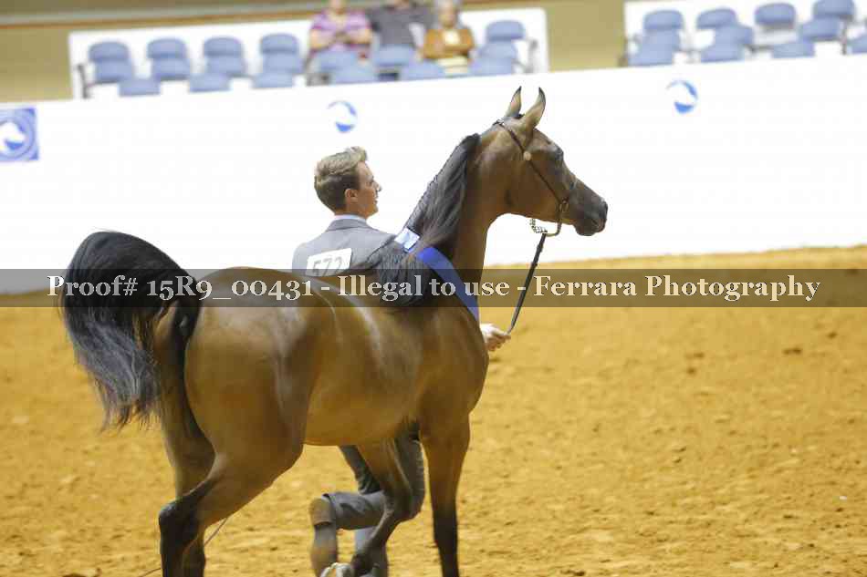 Proof 15R9_00431