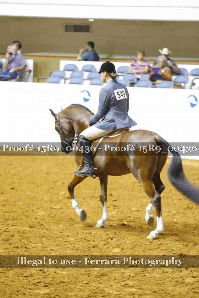 Proof 15R9_00436