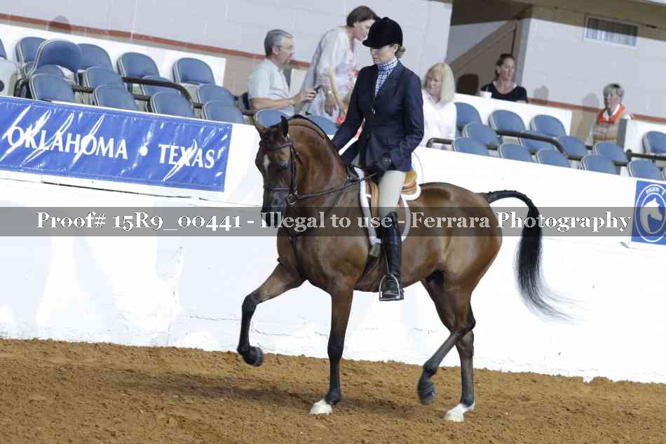 Proof 15R9_00441