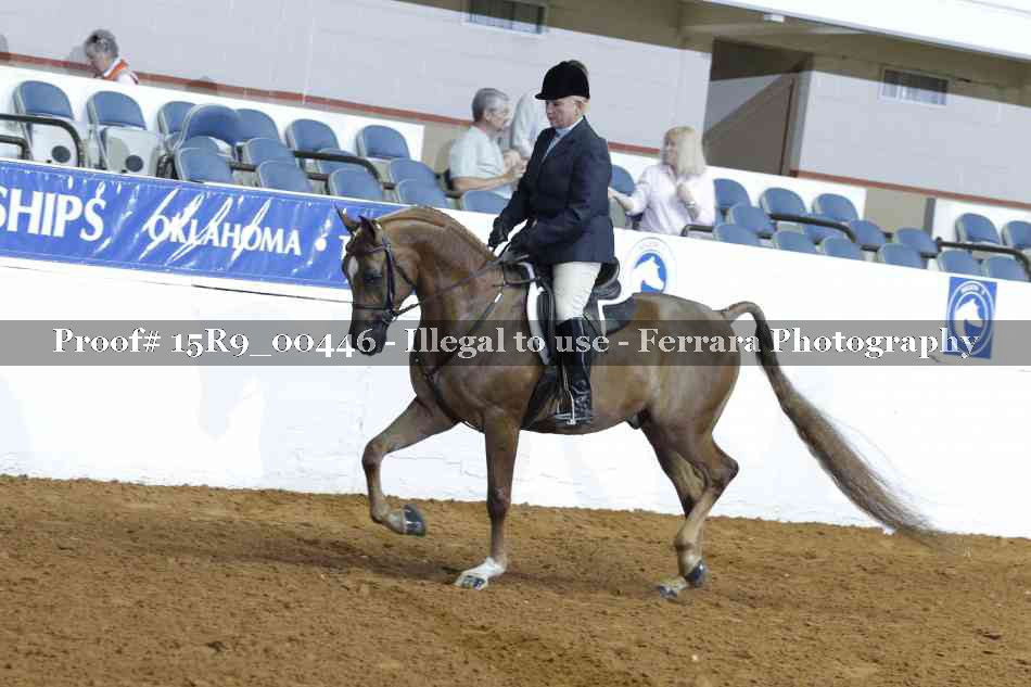 Proof 15R9_00446