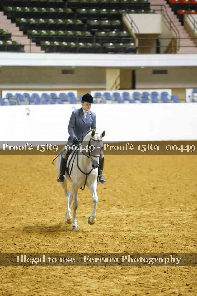 Proof 15R9_00449