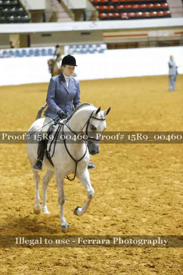 Proof 15R9_00460