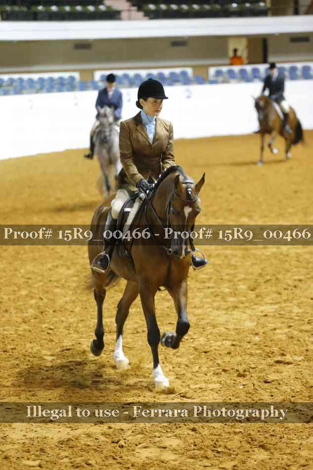 Proof 15R9_00466