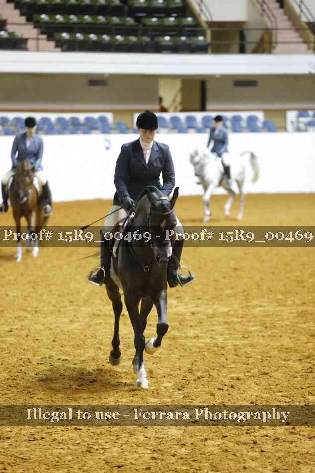 Proof 15R9_00469