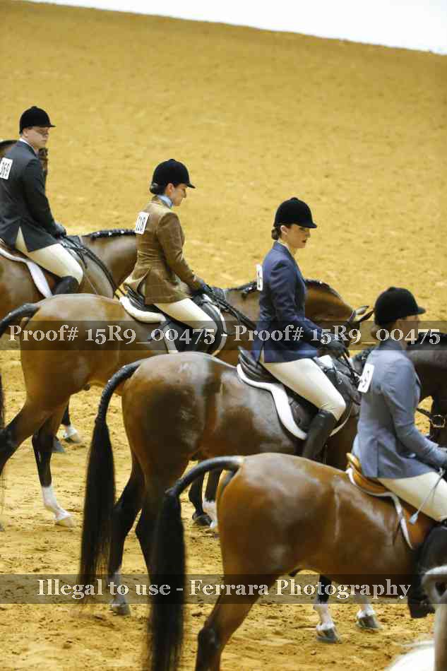 Proof 15R9_00475