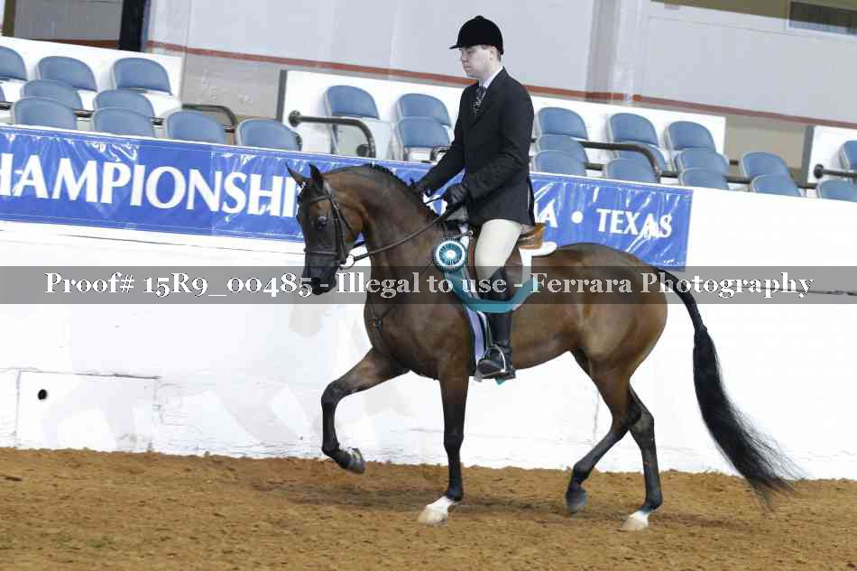 Proof 15R9_00485