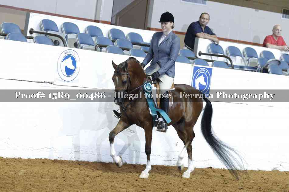 Proof 15R9_00486