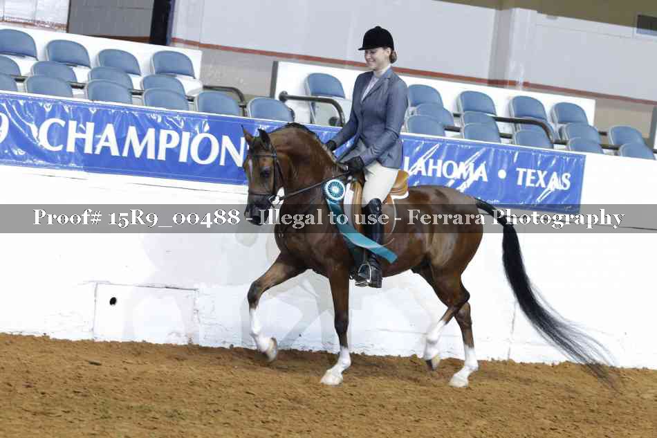 Proof 15R9_00488