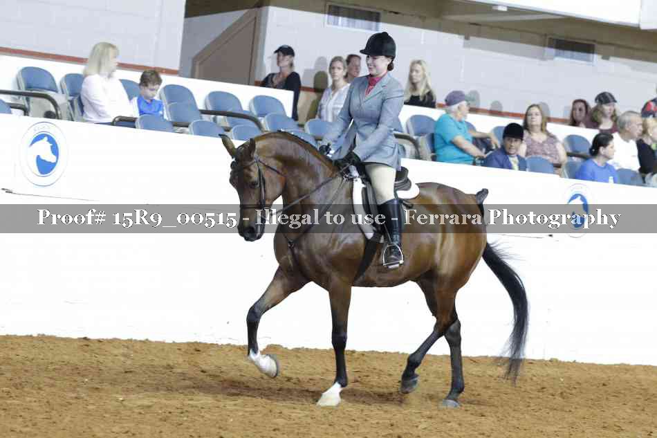 Proof 15R9_00515