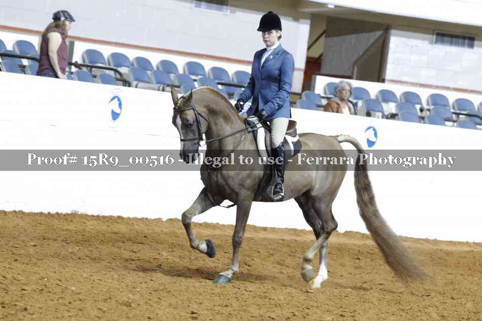 Proof 15R9_00516