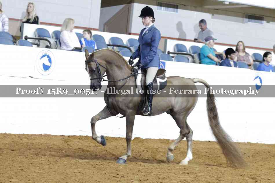 Proof 15R9_00517