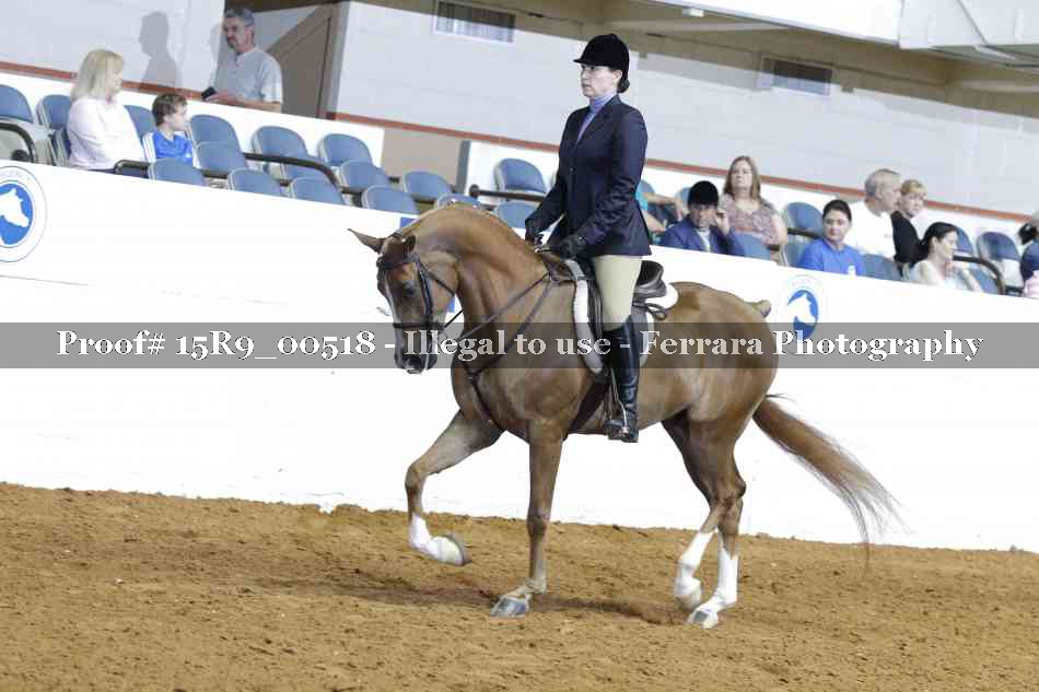 Proof 15R9_00518