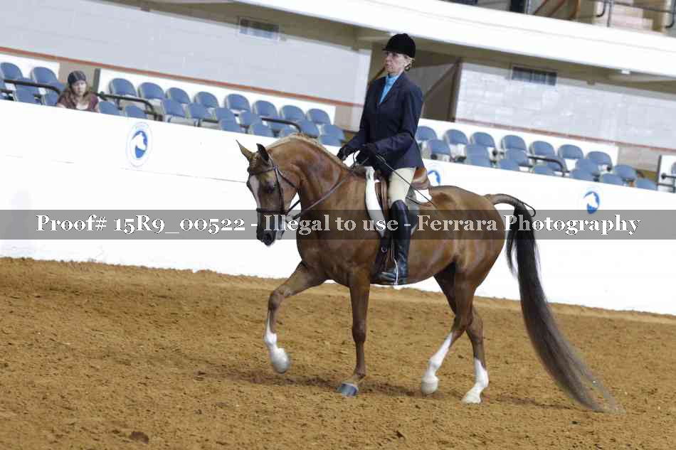 Proof 15R9_00522