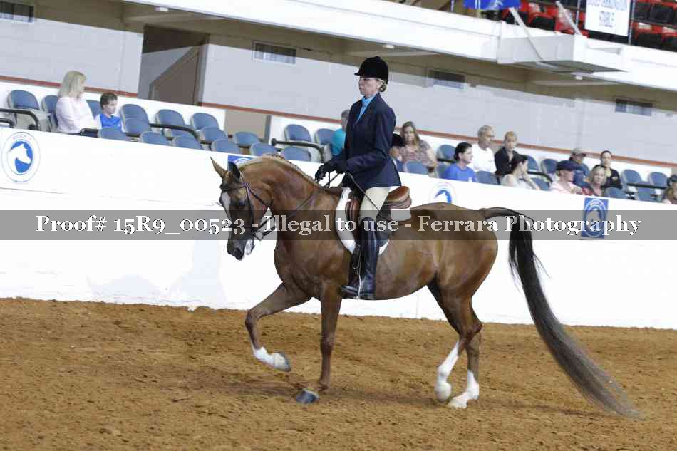 Proof 15R9_00523