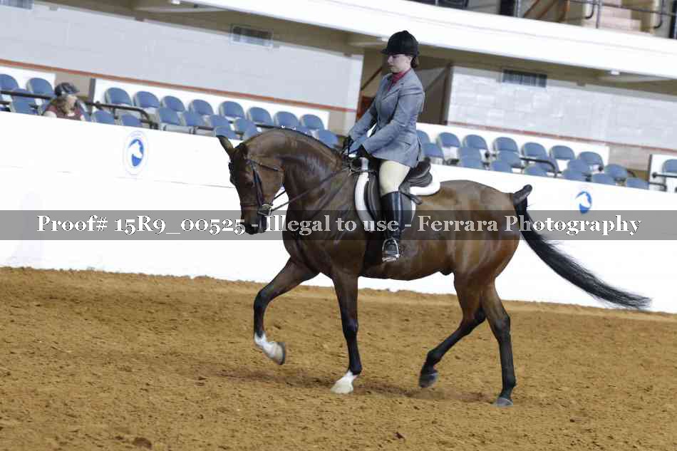 Proof 15R9_00525