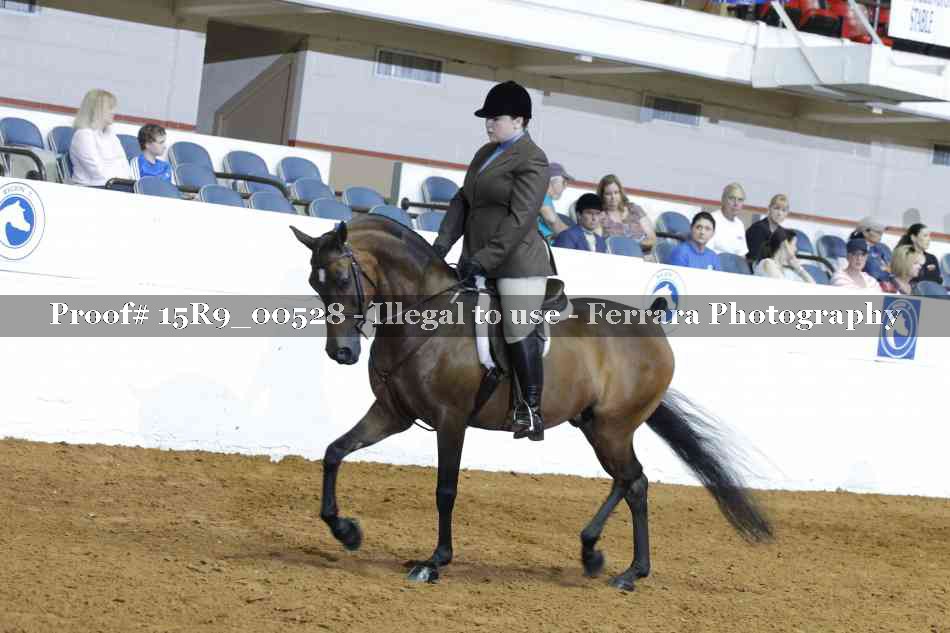 Proof 15R9_00528