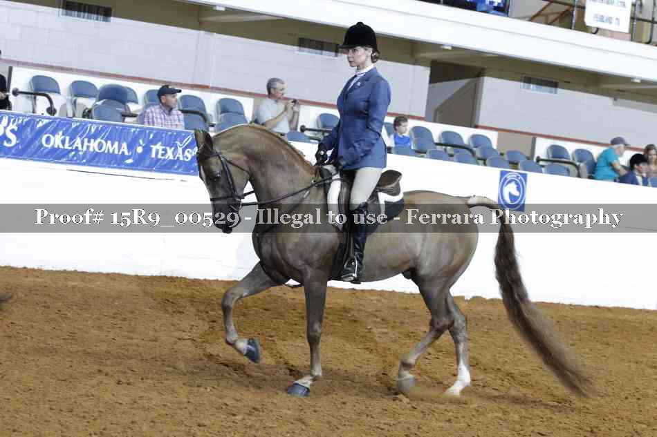 Proof 15R9_00529