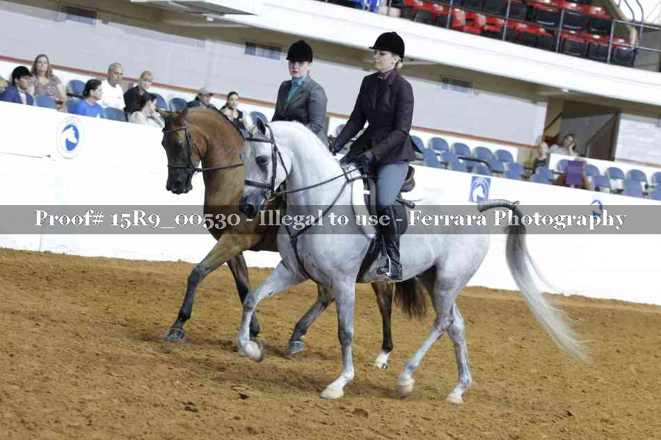 Proof 15R9_00530