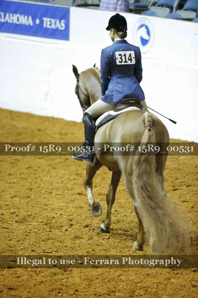 Proof 15R9_00531