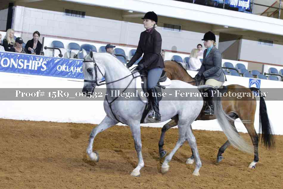 Proof 15R9_00532