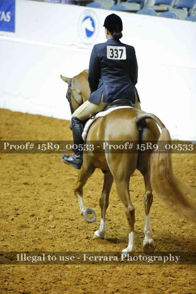 Proof 15R9_00533