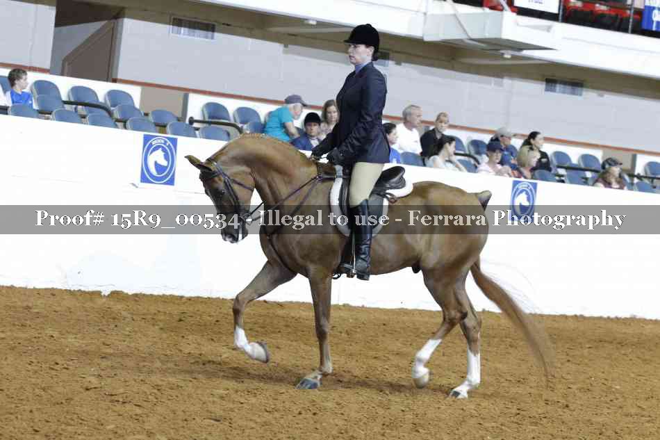 Proof 15R9_00534