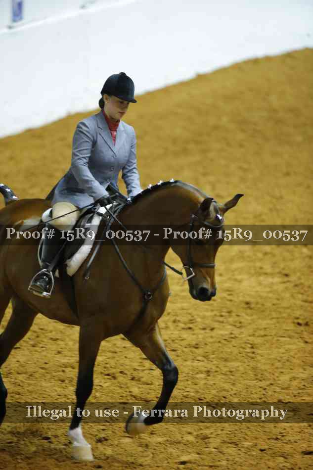Proof 15R9_00537