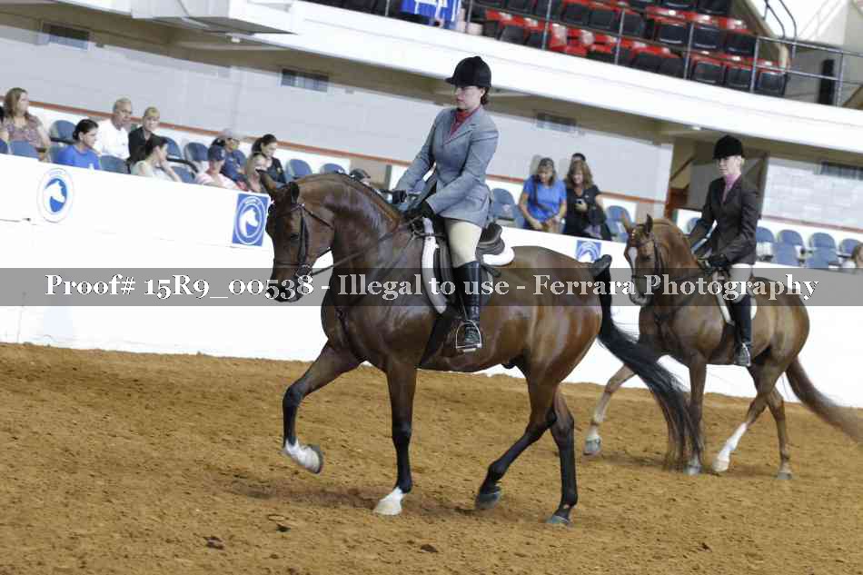 Proof 15R9_00538