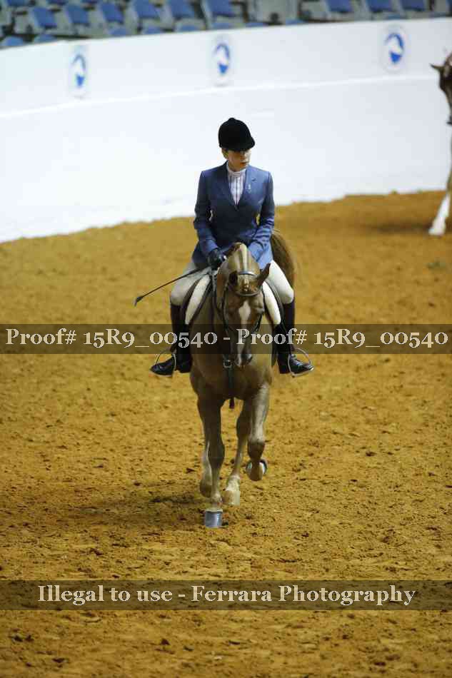 Proof 15R9_00540