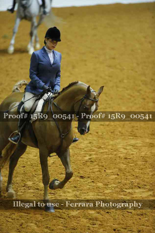 Proof 15R9_00541