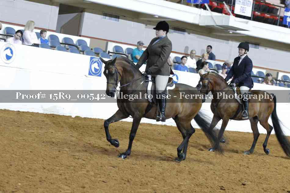 Proof 15R9_00542