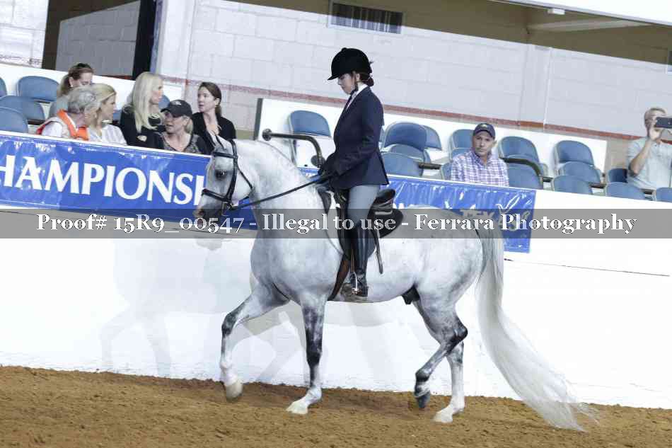 Proof 15R9_00547