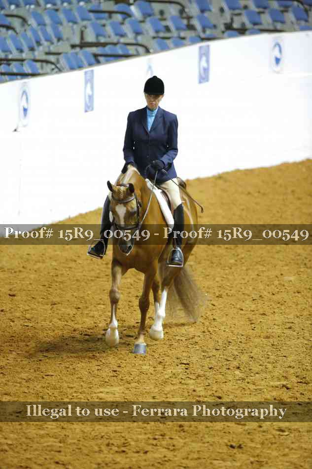 Proof 15R9_00549