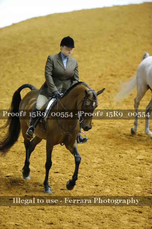 Proof 15R9_00554