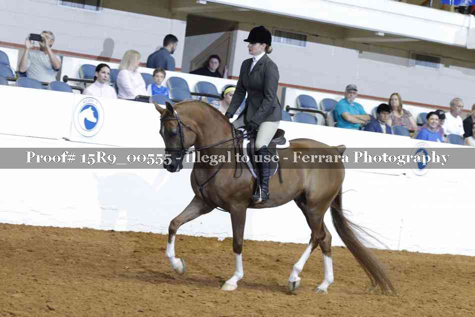 Proof 15R9_00555