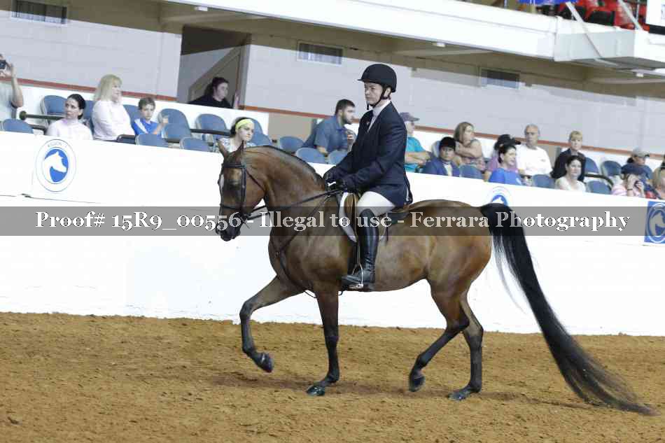 Proof 15R9_00556