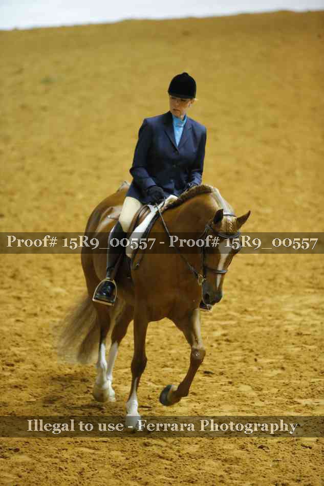 Proof 15R9_00557