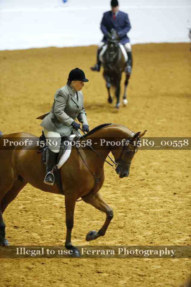 Proof 15R9_00558