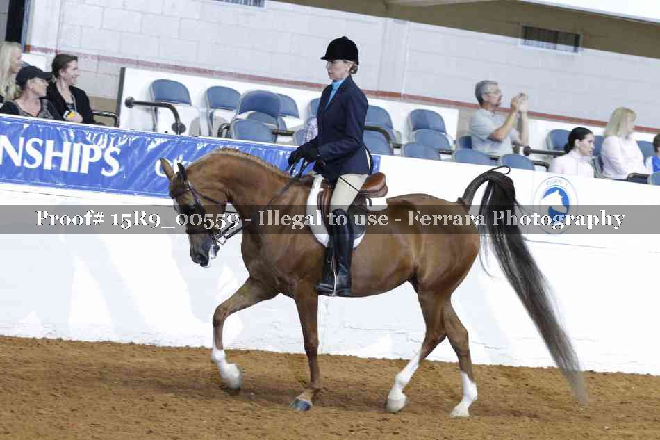 Proof 15R9_00559