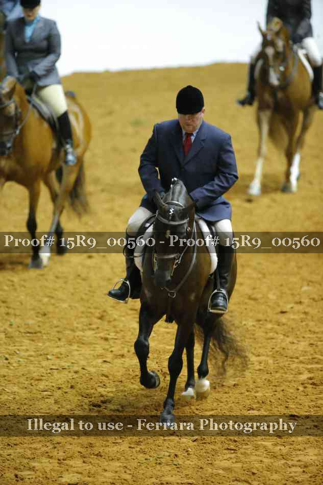 Proof 15R9_00560