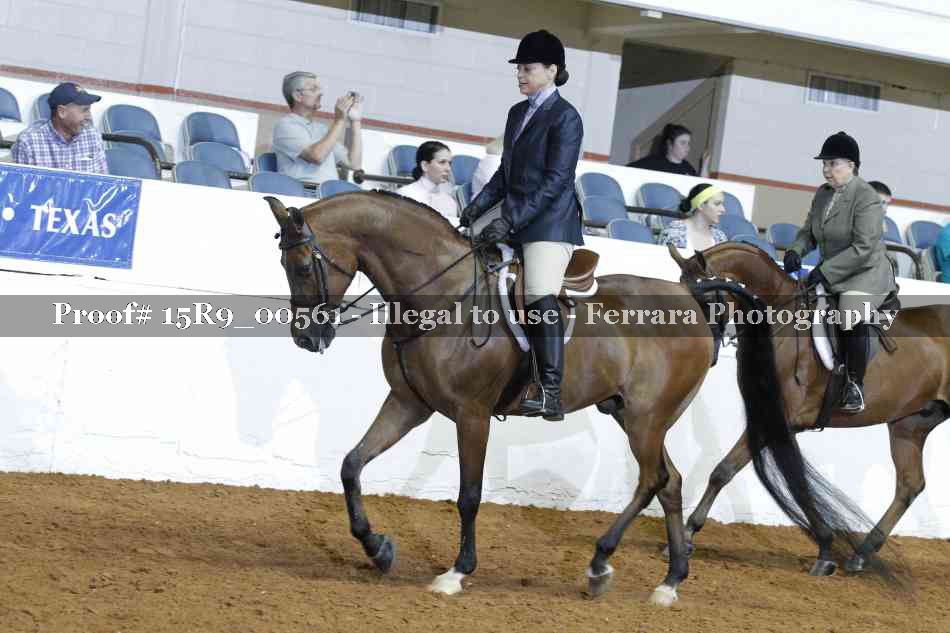 Proof 15R9_00561