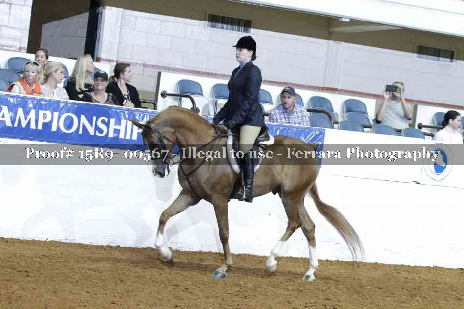 Proof 15R9_00567