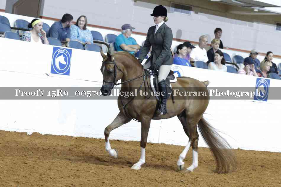 Proof 15R9_00570