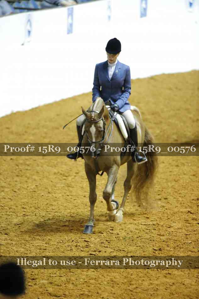 Proof 15R9_00576