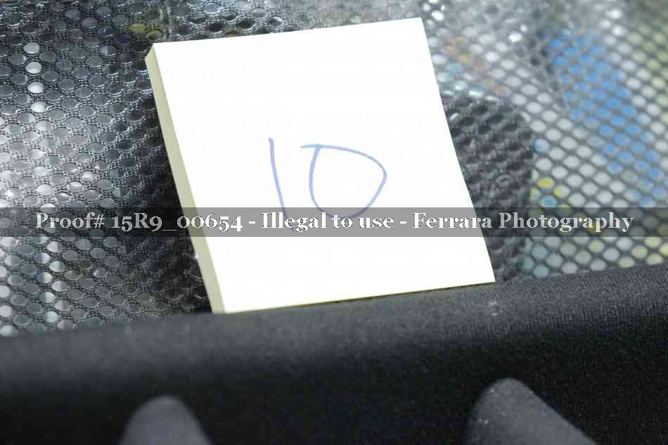 Proof 15R9_00654