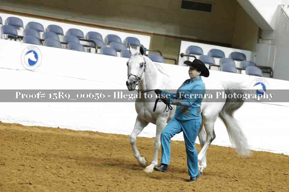 Proof 15R9_00656