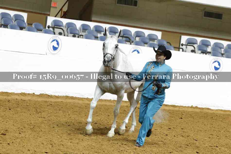 Proof 15R9_00657