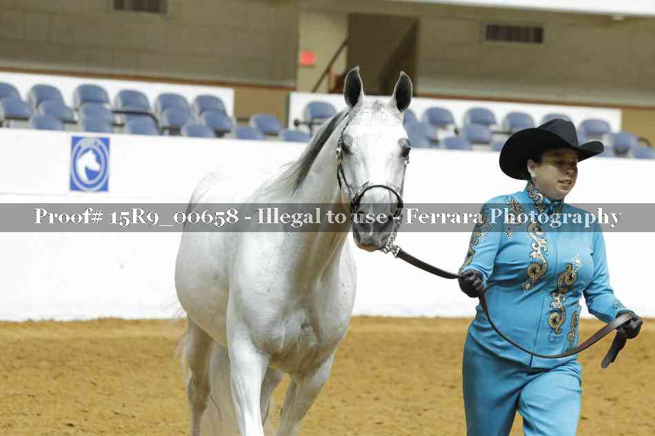 Proof 15R9_00658