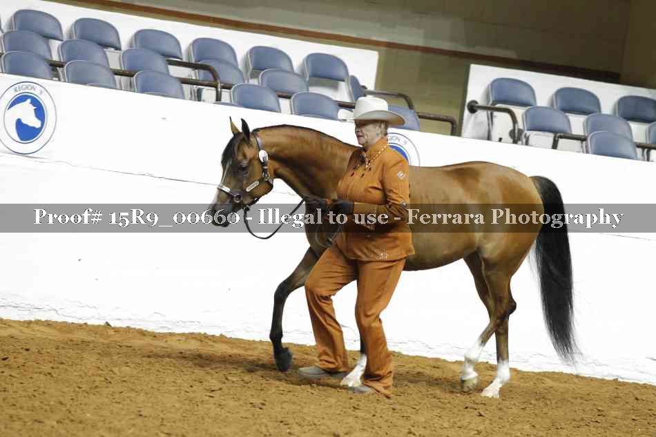 Proof 15R9_00660