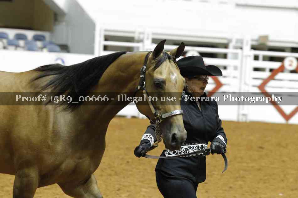 Proof 15R9_00666